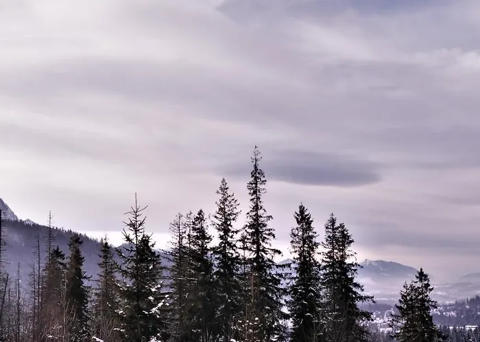 シャレー Przy Szlaku ザコパネ